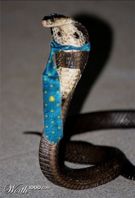 Photoshop Design by Daggie