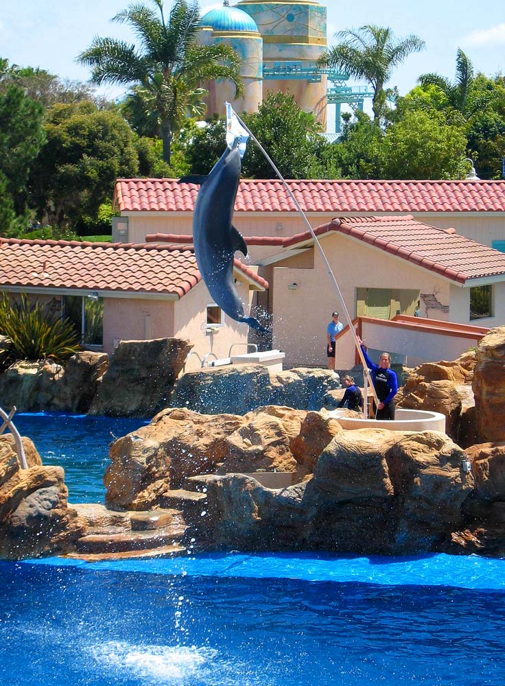 Photographie par egonlinden pour DesignCrowd (Community Contests) | Design #9041042