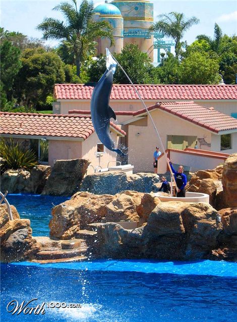 Photography by egonlinden