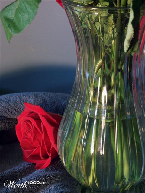 Photography by jlboucher