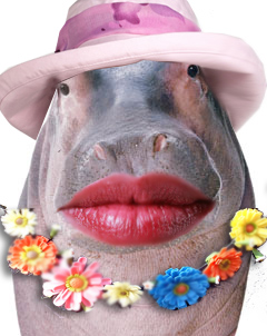 Photoshop-Design von jenjoe für DesignCrowd (Community Contests) | Design #9041250