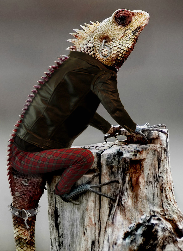 Diseño de Photoshop por anthonyhall para DesignCrowd (Community Contests) | Diseño #9041329