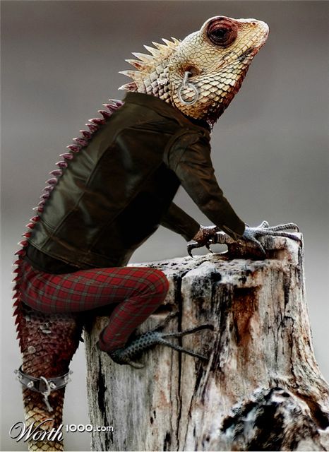 Photoshop Design by anthonyhall