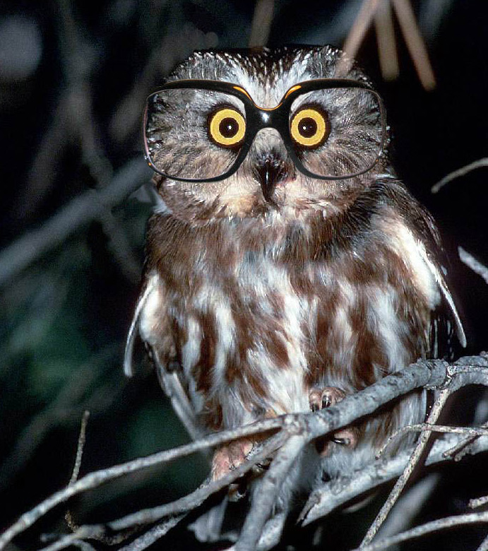 Photoshop Design by JCAris for DesignCrowd (Community Contests) | Design #9041320