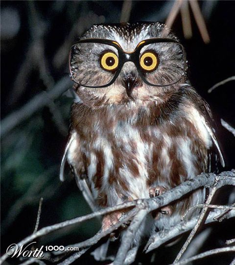 Photoshop Design by JCAris