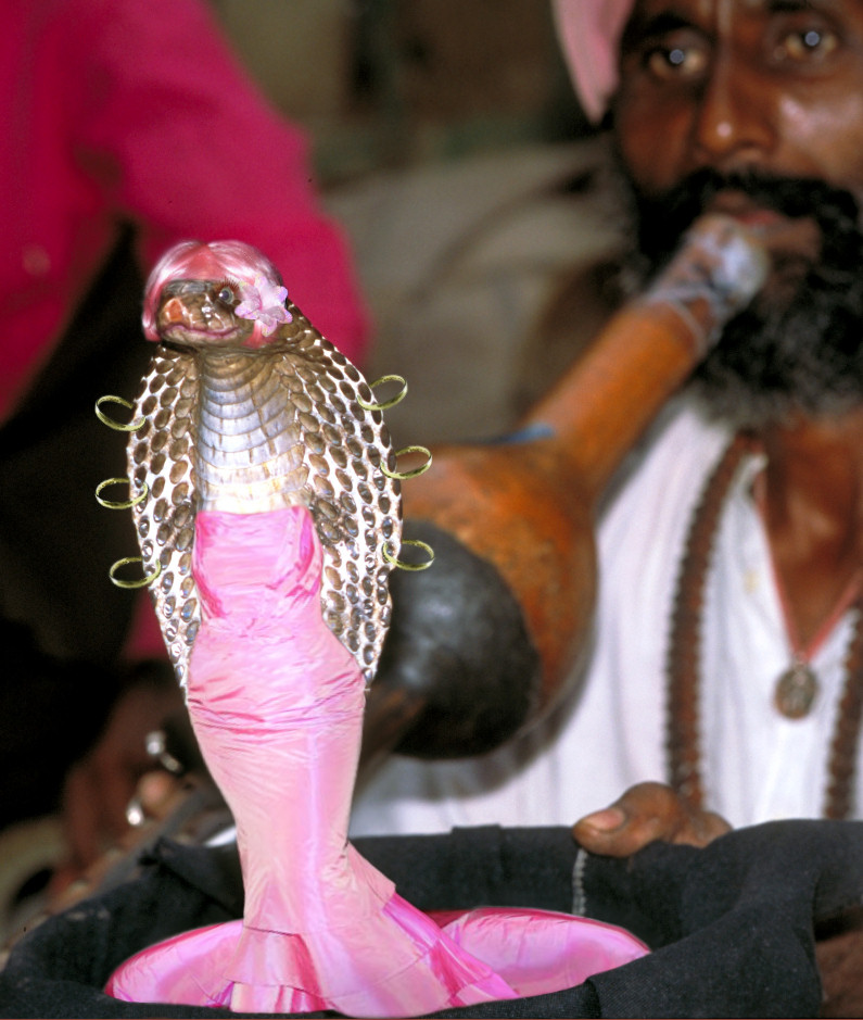 Photoshop Design by CoolKat85 for DesignCrowd (Community Contests) | Design #9041367