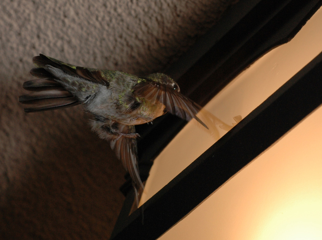 Photography by Rosalette for DesignCrowd (Community Contests) | Design #9041150