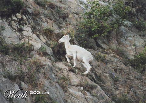 Photography by georgethedog