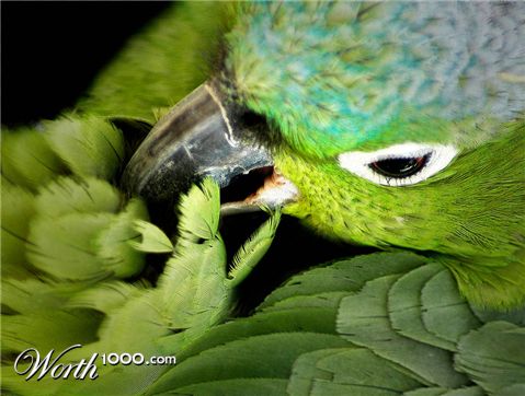 Photography by josephzl