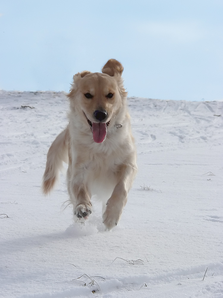 Fotografía por juliemausn para DesignCrowd (Community Contests) | Diseño #9041183