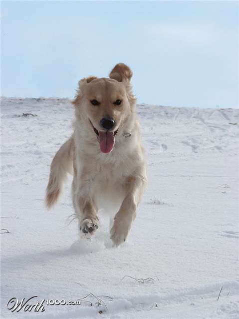 Photography by juliemausn