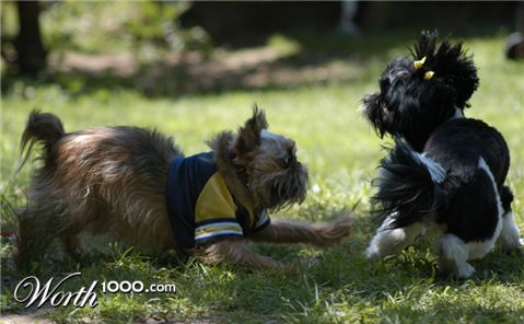 Photography by Joanne25