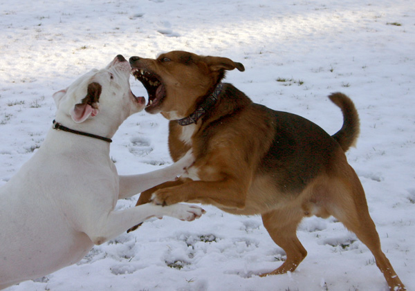 Photography by xabbu8 for DesignCrowd (Community Contests) | Design #9041232