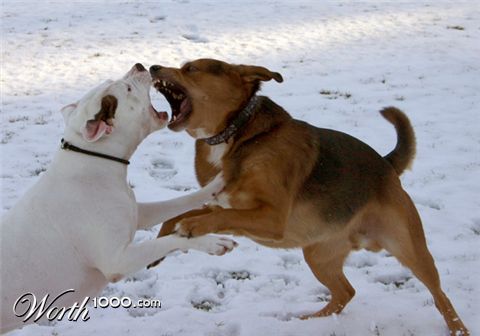 Photography by xabbu8