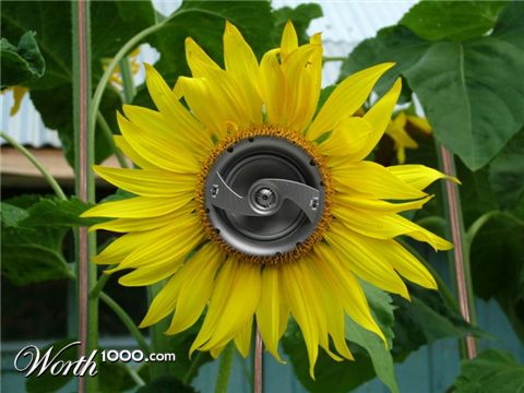 Photoshop design by CORYMARTIN for DesignCrowd (Community Contests)