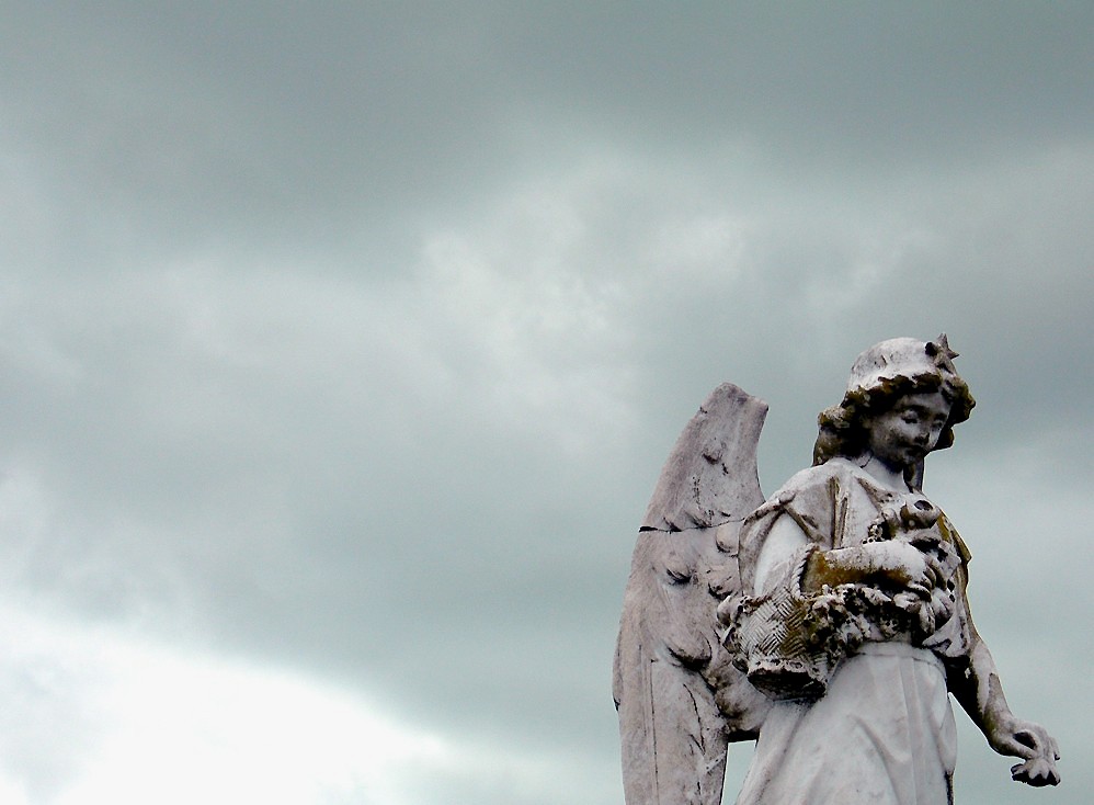 Photography by Isabella2006 for DesignCrowd (Community Contests) | Design #9038978