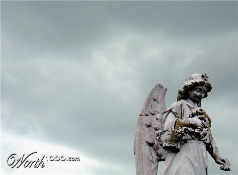 Photography by Isabella2006