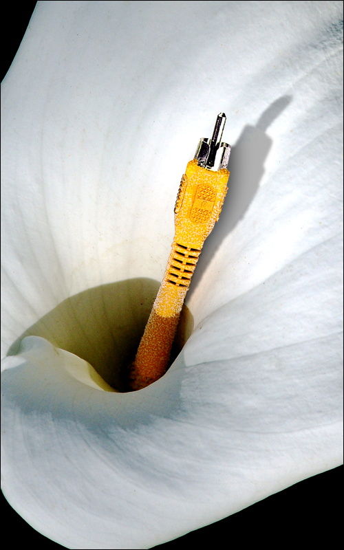 Diseño de Photoshop por davidberettaowens para DesignCrowd (Community Contests) | Diseño #9053563