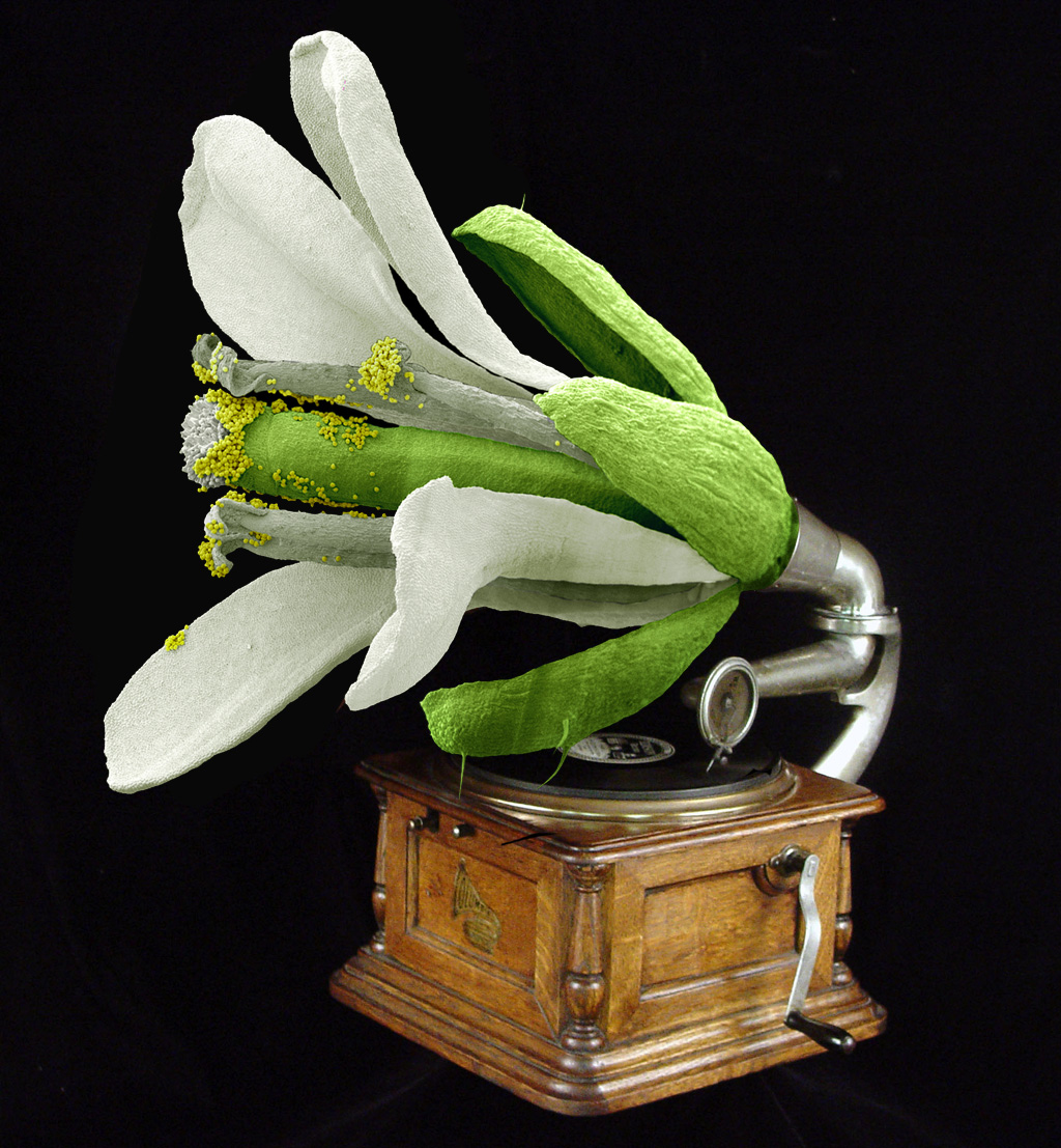 Photoshop Design by ivanas for DesignCrowd (Community Contests) | Design #9053575