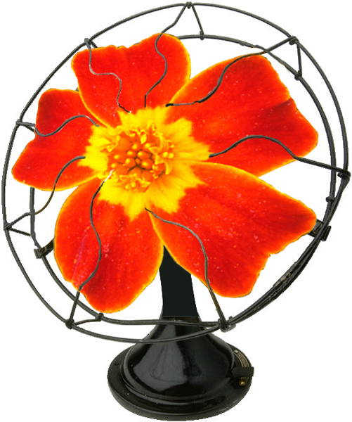 Photoshop-Design von NitroButler für DesignCrowd (Community Contests) | Design #9053585