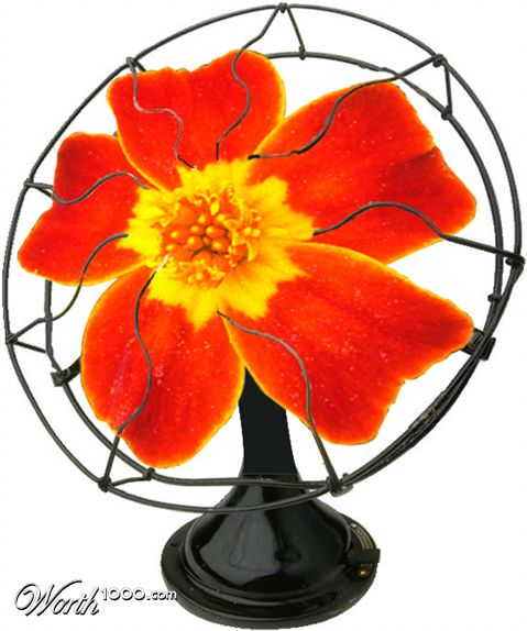 Photoshop Design by NitroButler