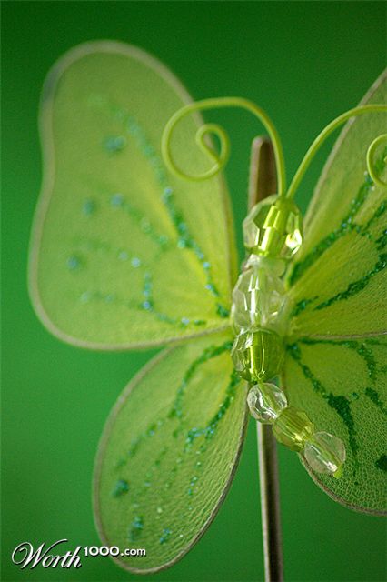 Photography by eshana