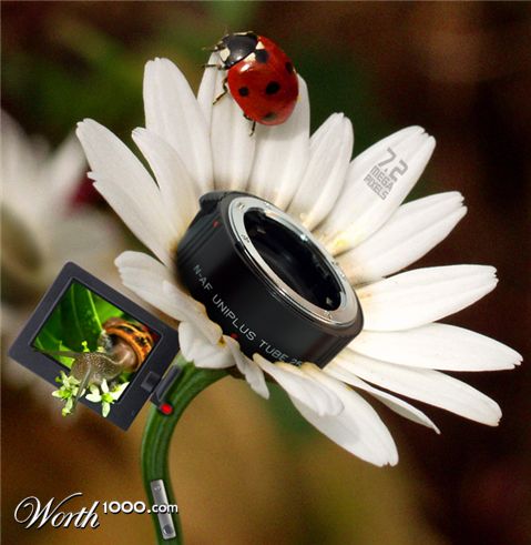 Photoshop Design by mjhaylor