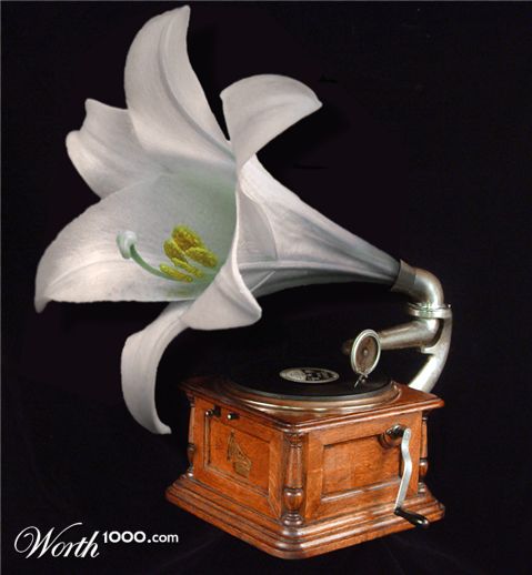 Photoshop Design by JoLeKo