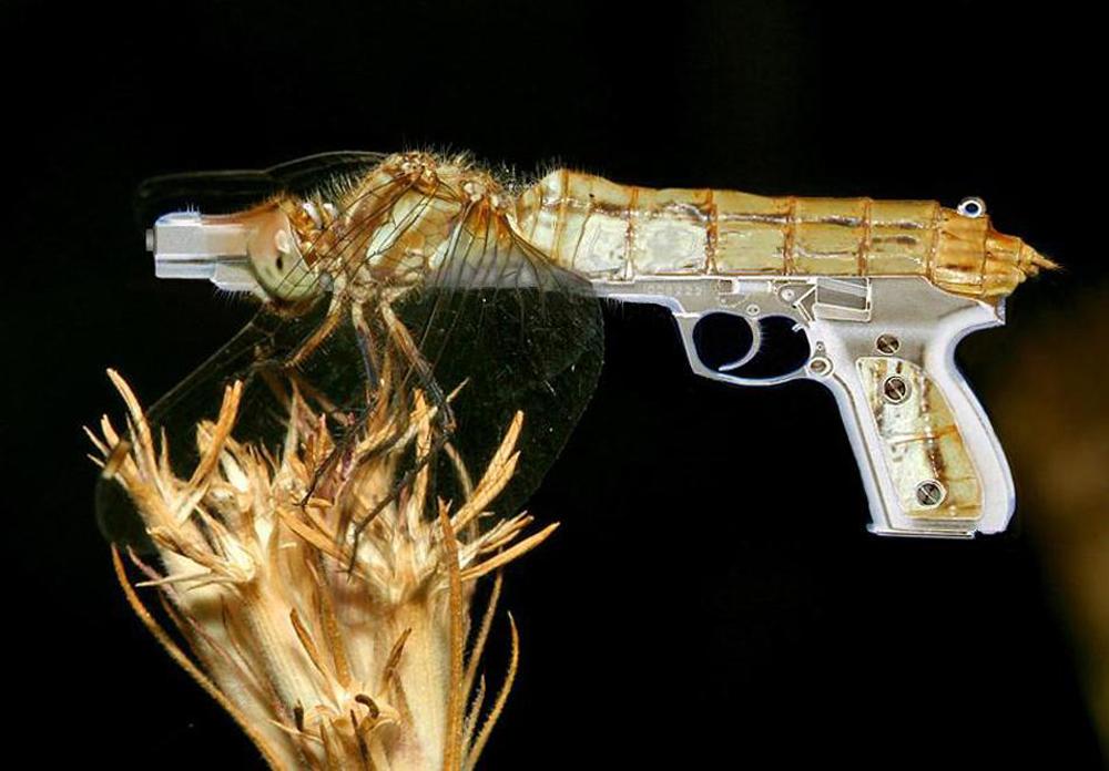 Photoshop Design by sugarcane for DesignCrowd (Community Contests) | Design #9040751