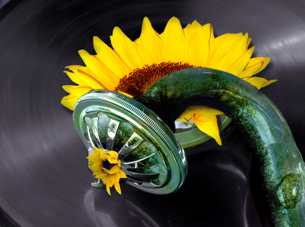 Photoshop Design by Siencyn for DesignCrowd (Community Contests) | Design #9053682