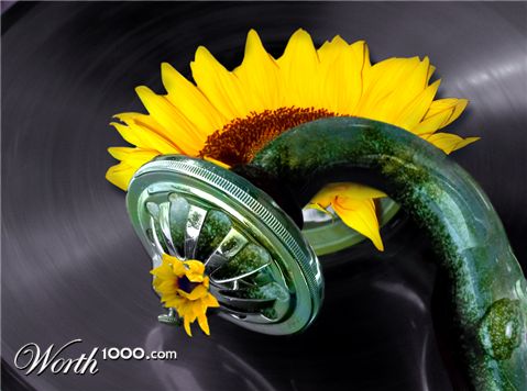 Photoshop Design by Siencyn