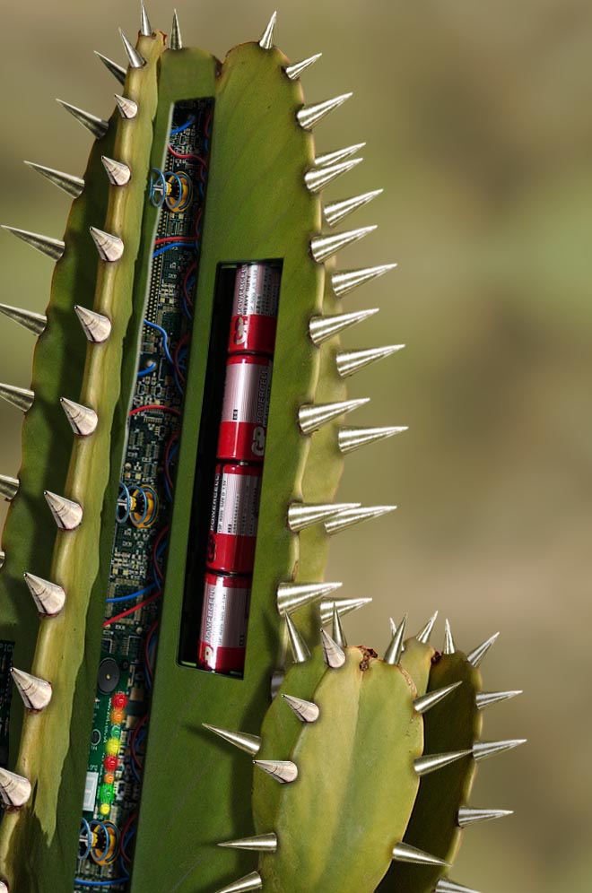 Photoshop Design by Skorpion for DesignCrowd (Community Contests) | Design #9053634