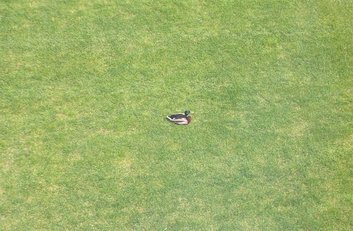 Fotografie von jebaber13 für DesignCrowd (Community Contests) | Design #9039063