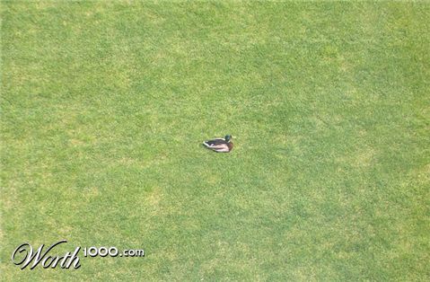 Photography by jebaber13