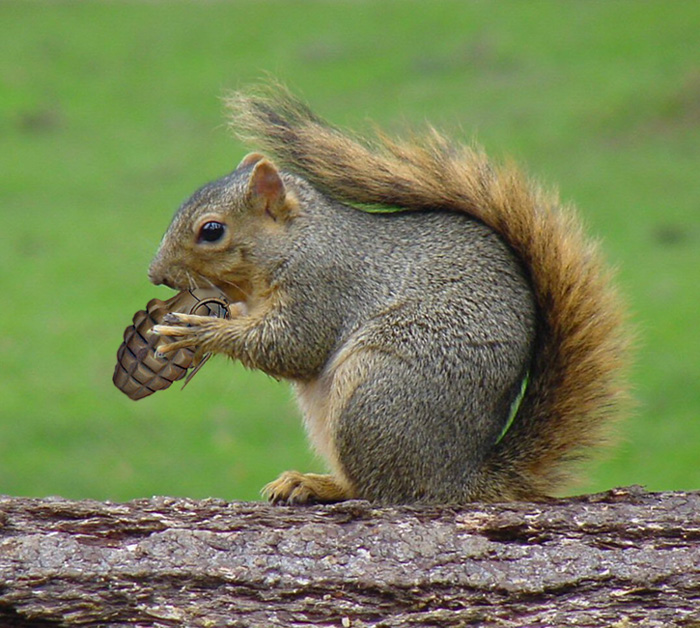 Photoshop-Design von Paranoz für DesignCrowd (Community Contests) | Design #9040798