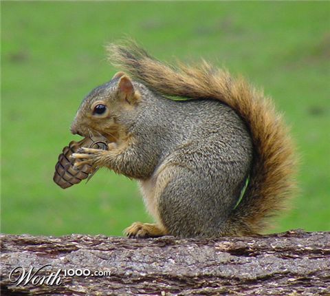 Photoshop Design by Paranoz