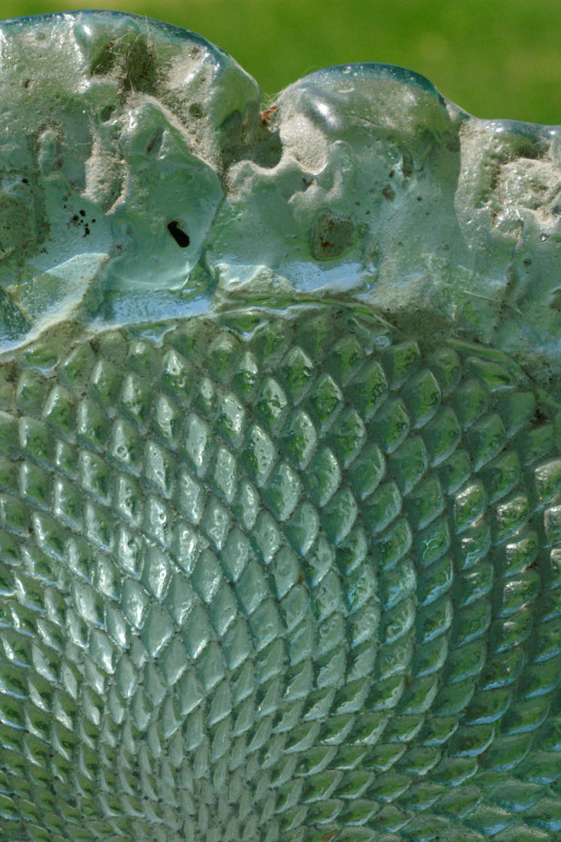 Photographie par bevissimo pour DesignCrowd (Community Contests) | Design #9049766