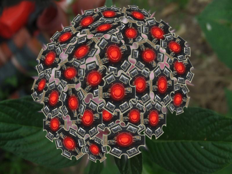 Photoshop Design by witchiepoo for DesignCrowd (Community Contests) | Design #9053668