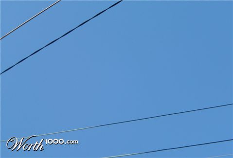 Photography by redogishere