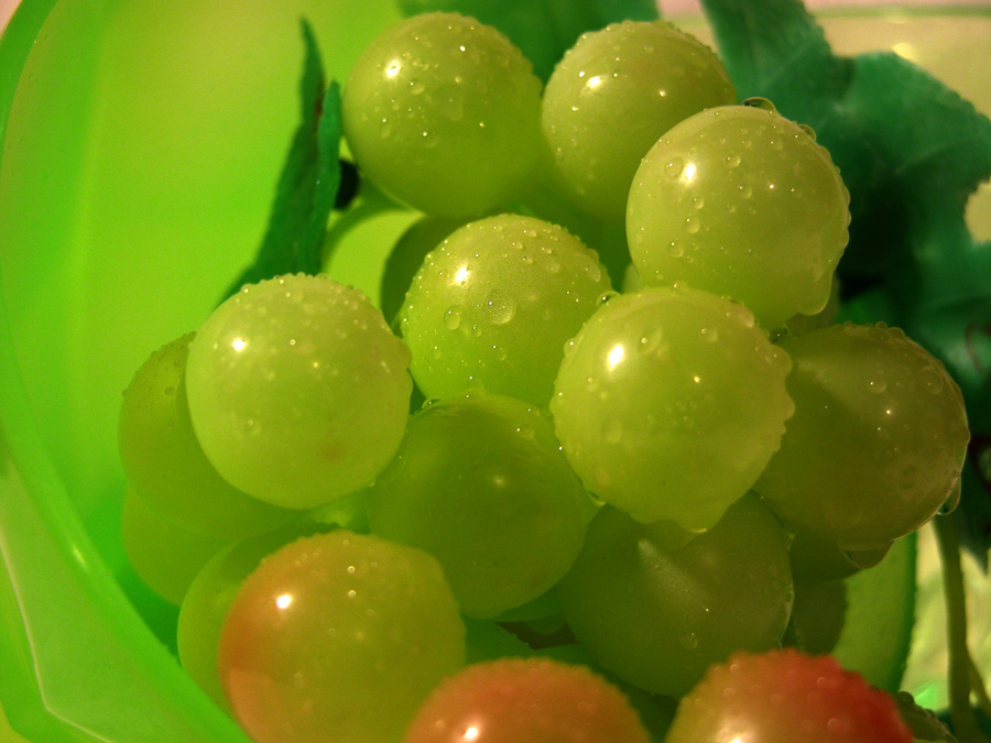 Fotografie von georgethedog für DesignCrowd (Community Contests) | Design #9049793