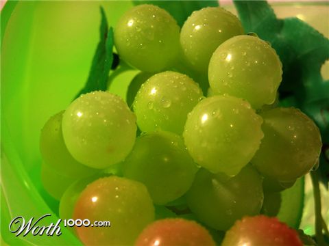 Photography by georgethedog