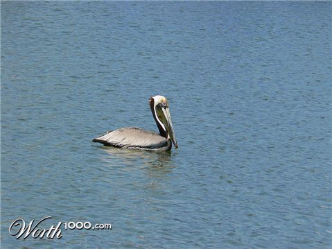 Photography by StevieM