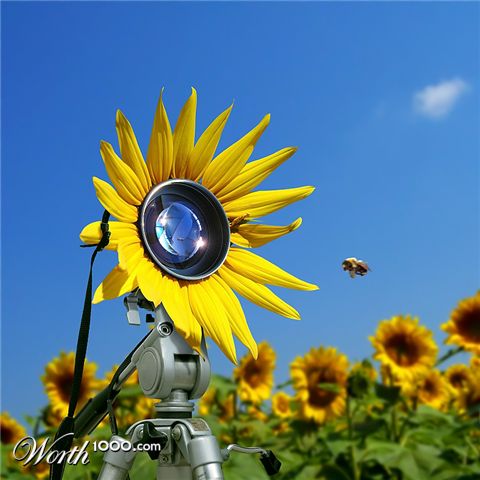 Photoshop Design by paomigs