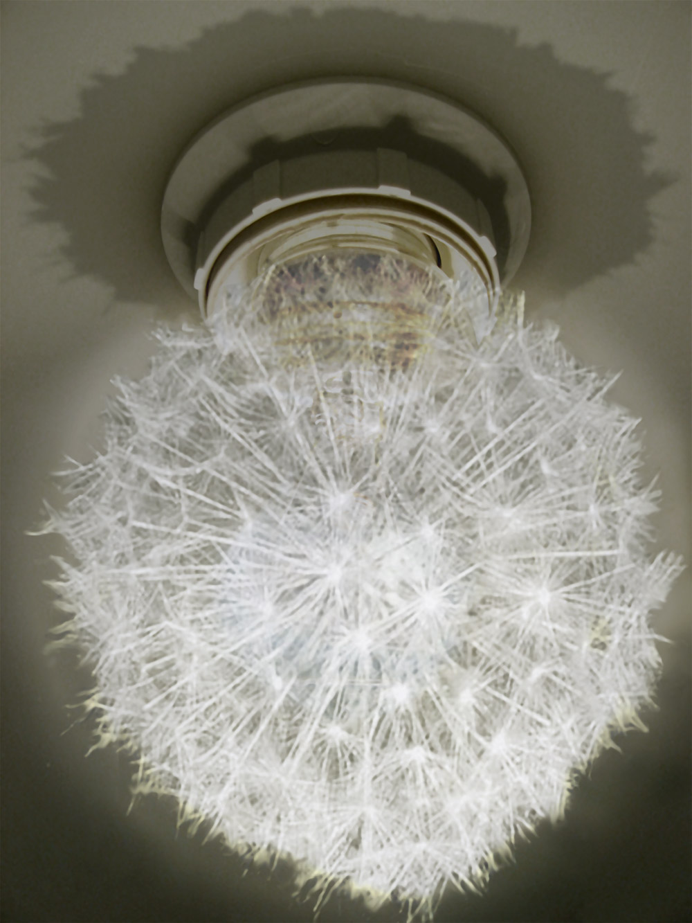 Photoshop Design by EyEars for DesignCrowd (Community Contests) | Design #9053775