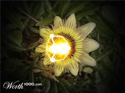 Photoshop Design by hymerion