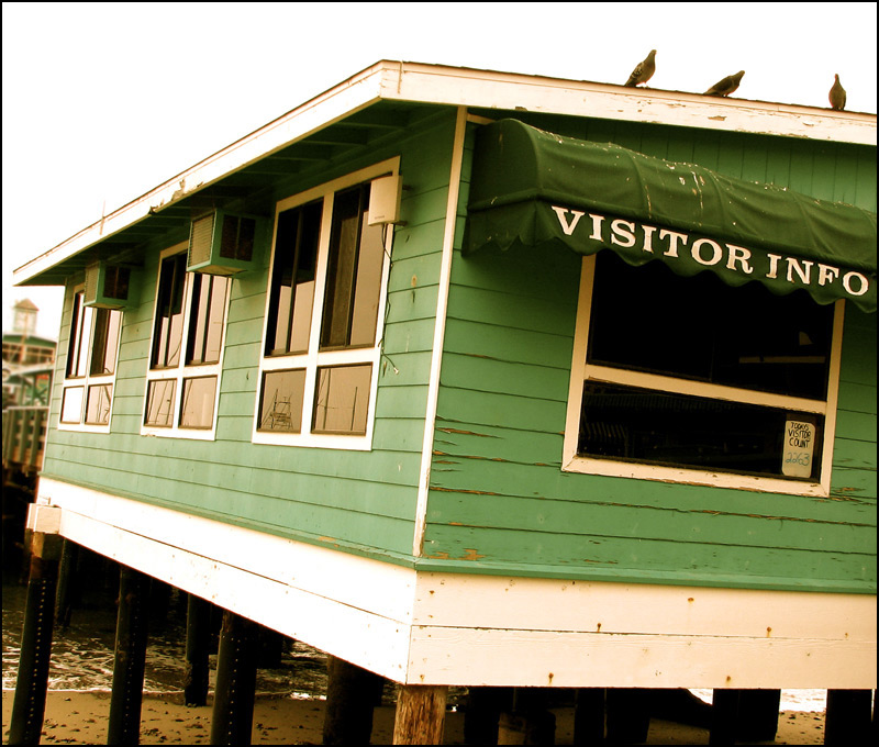 Photography by nowheregirl for DesignCrowd (Community Contests) | Design #9049912