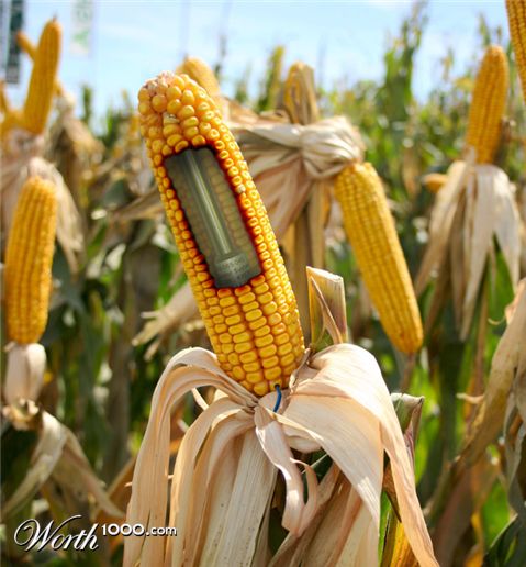 Photoshop Design by melanzata