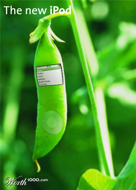 Photoshop Design by horsefreer