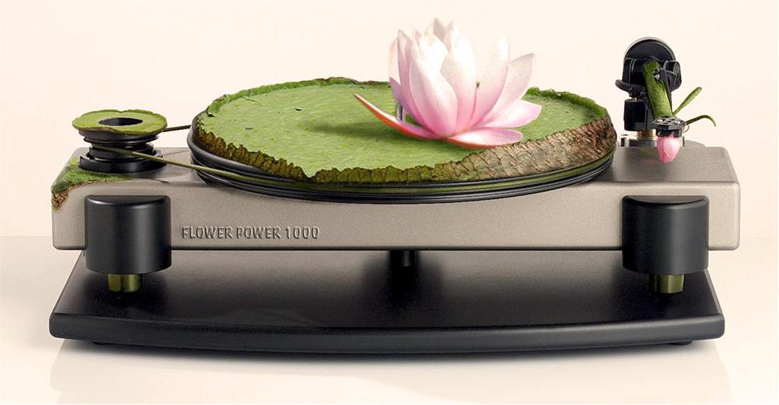 Photoshop Design by sugarcane for DesignCrowd (Community Contests) | Design #9053786