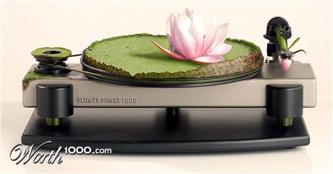 Photoshop Design by sugarcane